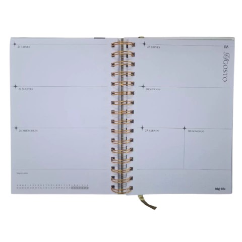 AGENDA BIG LIFE ASTROLOGICA SEMANAL 15x21CM.