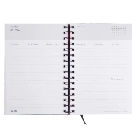 AGENDA BIG LIFE HOLOGRAFICA SEMANAL 15x21CM.