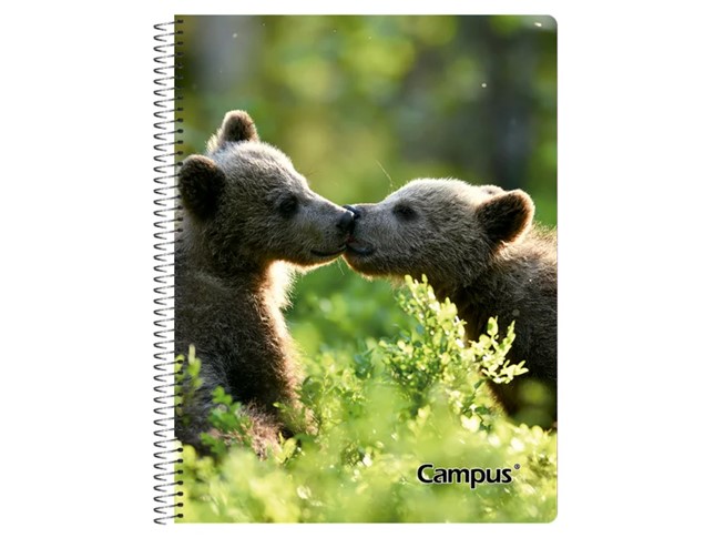 CUADERNOLA CAMPUS FANTASIA TAPA DURA 96 HOJAS PAQ. X 10