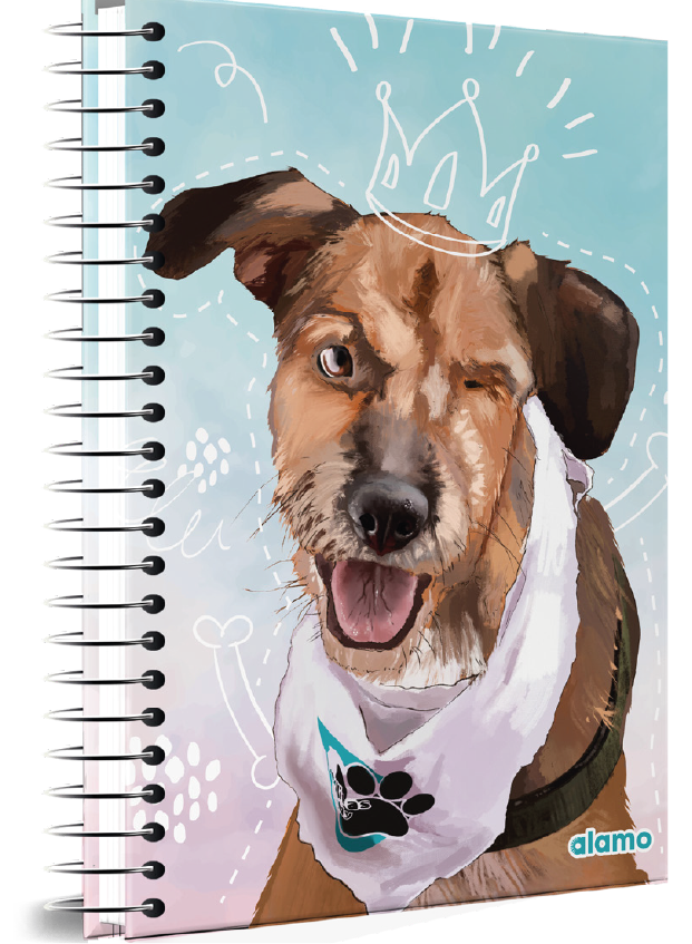 CUADERNOLA ALAMO PET TAPA DURA 200 HOJAS 19 X 27CM.