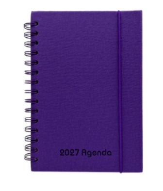 AGENDA ARTEIDEA DIARIA 14x21 TAPA DURA C/ESPIRAL