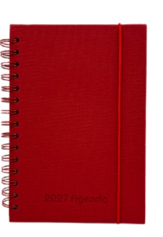 AGENDA ARTEIDEA DIARIA 14x21 TAPA DURA C/ESPIRAL
