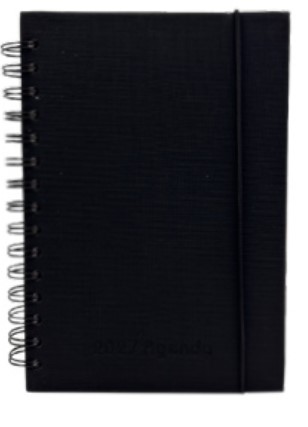 AGENDA ARTEIDEA DIARIA 14x21 TAPA DURA C/ESPIRAL