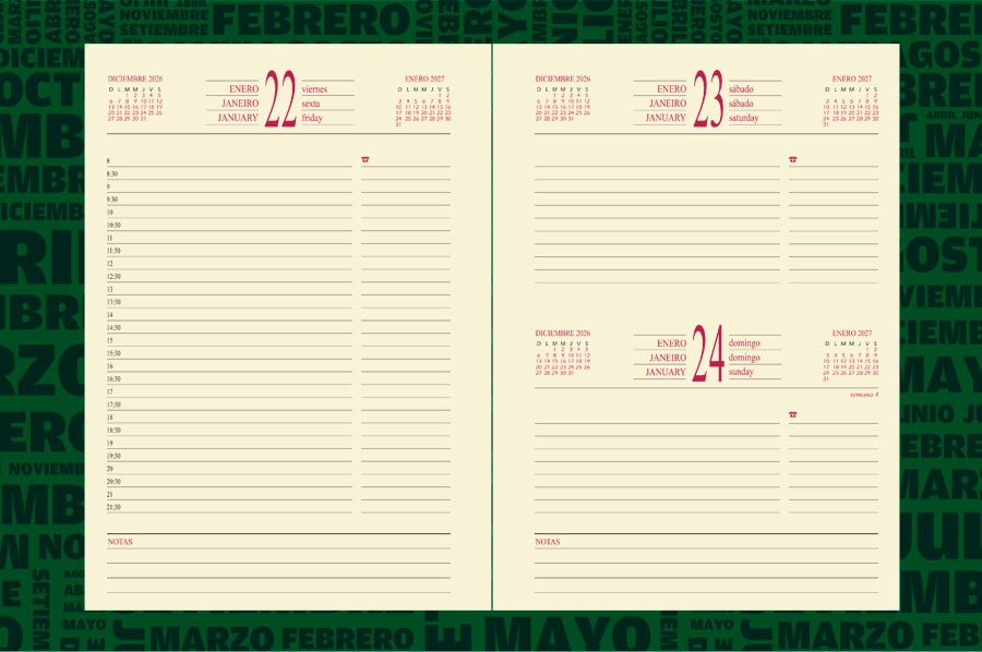 AGENDA ABZ PRESIDENTE DIARIA Nº 310 16 X 22 CM.