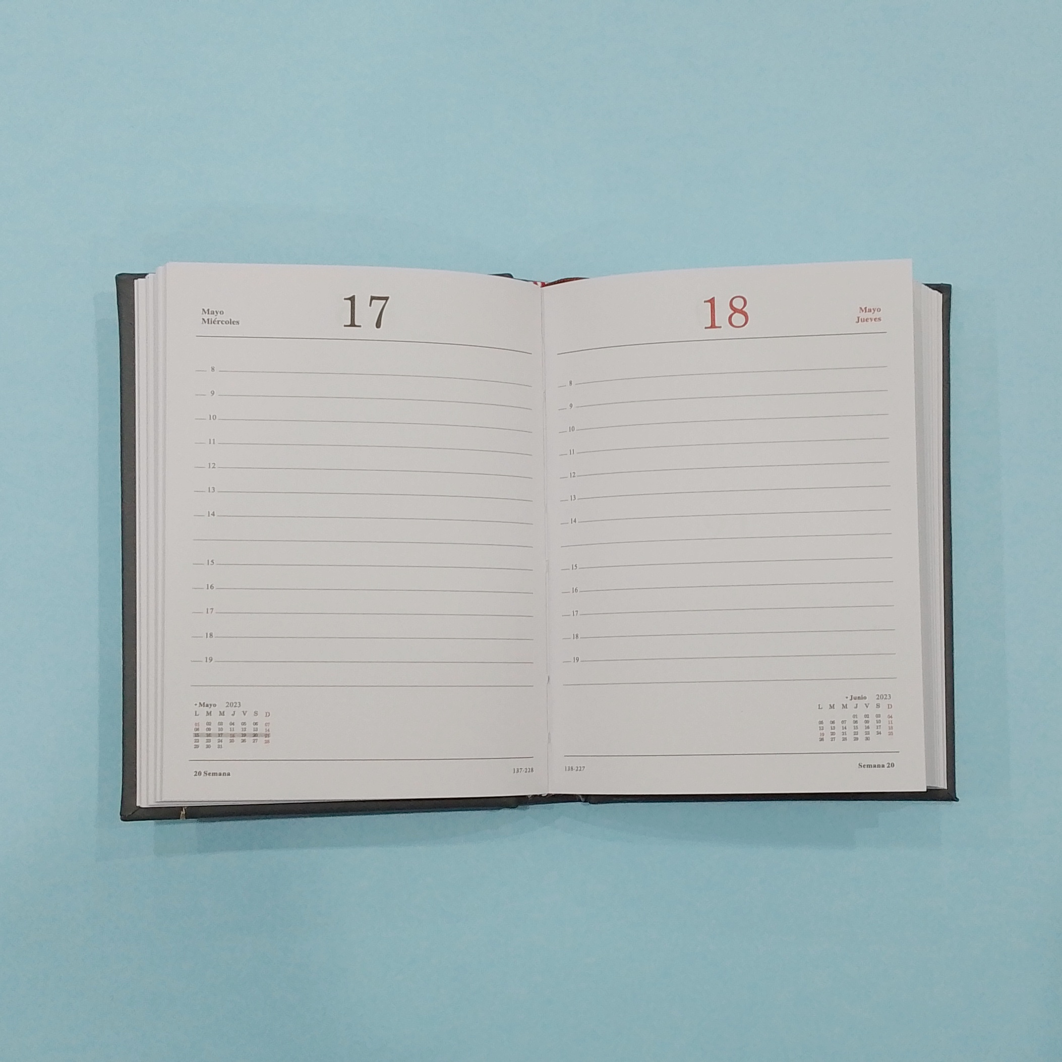 AGENDA OMEGA Nº 31  DIA X HOJA TAPA FANTASIA 10.5 X 14.5 CM.