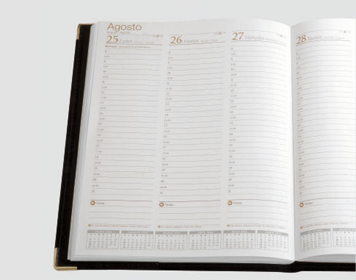 AGENDA REMEMBER PROFESIONAL BETA SEMANAL 1606 20 X 26 CM.