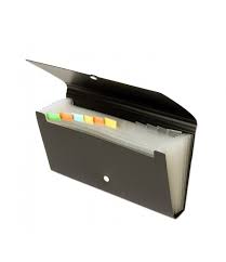 CARPETA CON ELASTICO 12 DIV. P/CHEQUES