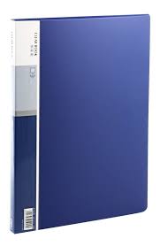 CARPETA PALSTICA A4 CON 100 FUNDAS