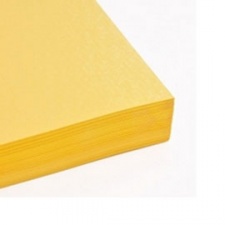 HOJA GARBANZO AMARILLO X 100