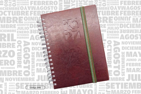 AGENDA ABZ GIORNATA DIARIA DOMINGO C/ESPIRAL Nº 266 16 X 22 CM.