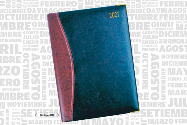 AGENDA ABZ PRESIDENTE DIARIA Nº 310 16 X 22 CM.