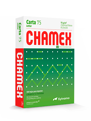 PAPEL CHAMEX CARTA X 500H.