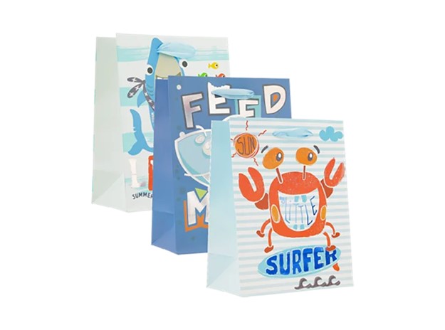 BOLSA DE REGALO CHICA 18X23X10