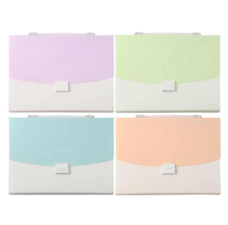 CARPETA 12 DIVISIONES A4 M&amp;G CON BROCHE Y ASA