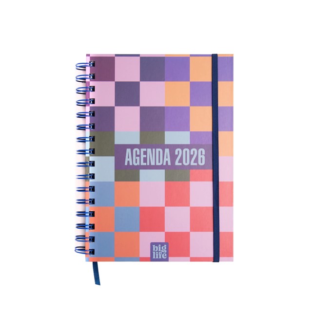 AGENDA BIG LIFE OPTICA DIARIA 15x21CM.