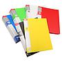 CARPETA M&G A4 CON 60 FUNDAS